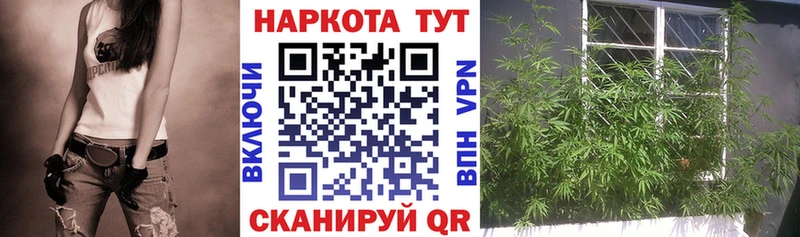 Где можно купить наркотики Майкоп Псилоцибиновые грибы  Меф  ГАШИШ  АМФ  Конопля  СОЛЬ 