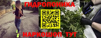 Альфа ПВП Ипатово