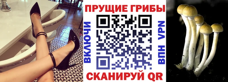 Галлюциногенные грибы ЛСД Майкоп