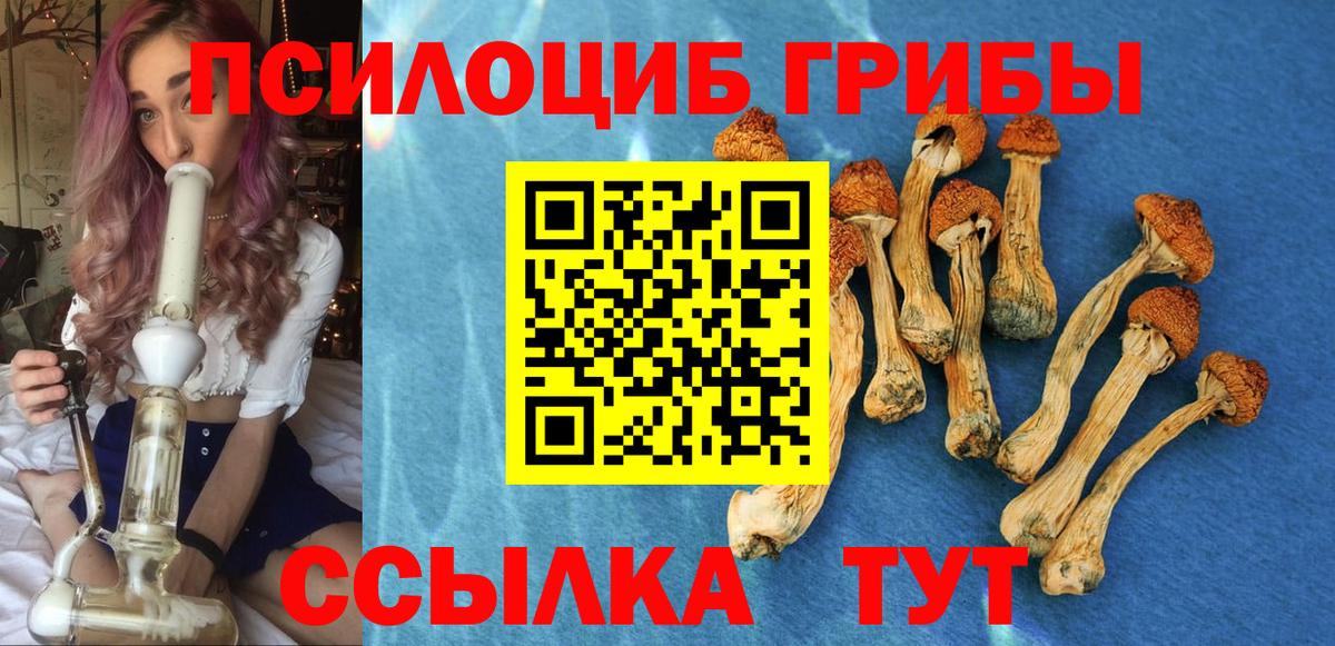 Псилоцибиновые грибы Magic Shrooms Майкоп