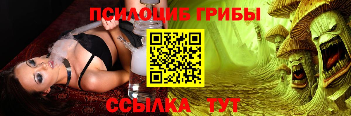 Майкоп  Псилоцибиновые грибы мухоморы  цена   Вход с VPN 