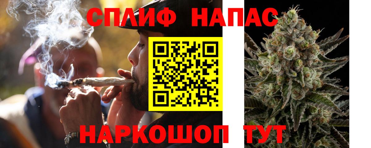 Бошки Шишки White Widow  МАРИХУАНА конопля  МАРИХУАНА ГИДРОПОН  Майкоп  Вход с VPN 
